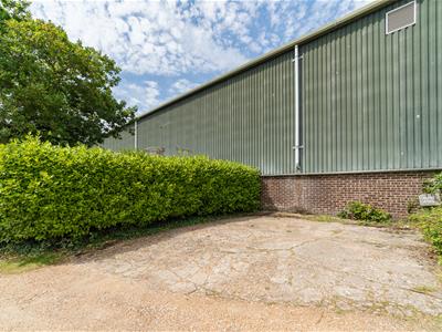 Picture 16